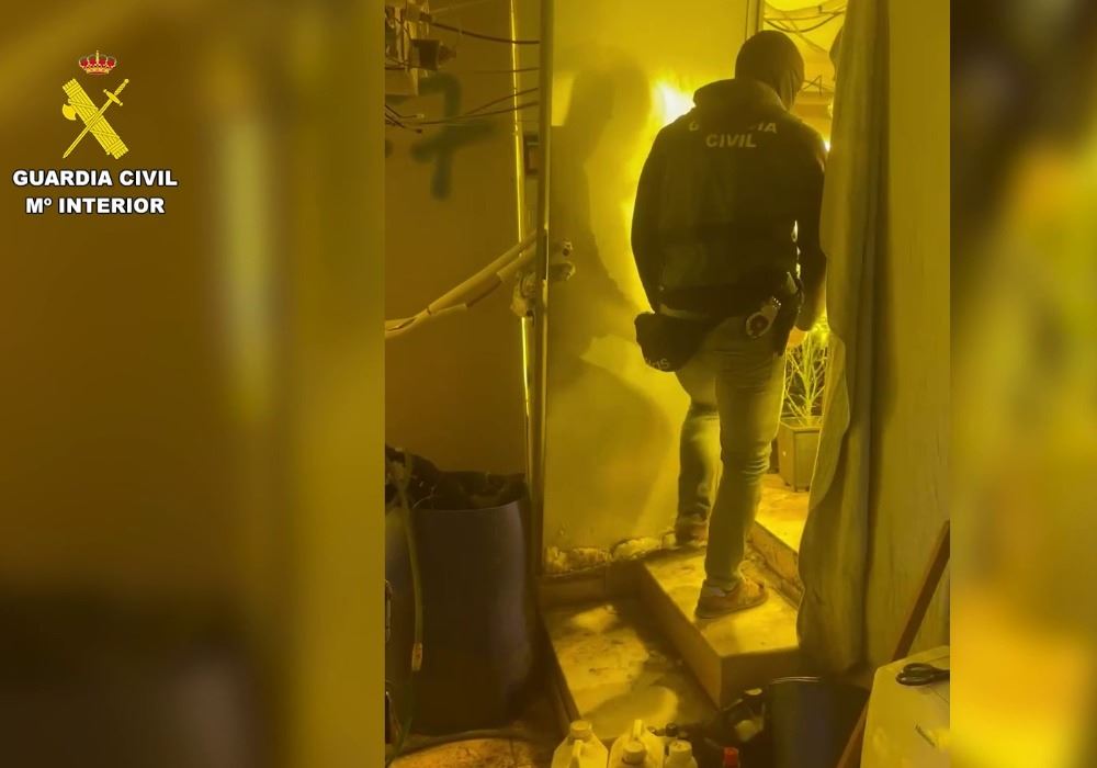 Dos detenidos en el Poniente almeriense tras desmantelar dos cultivos de marihuana equipados con tecnología avanzada