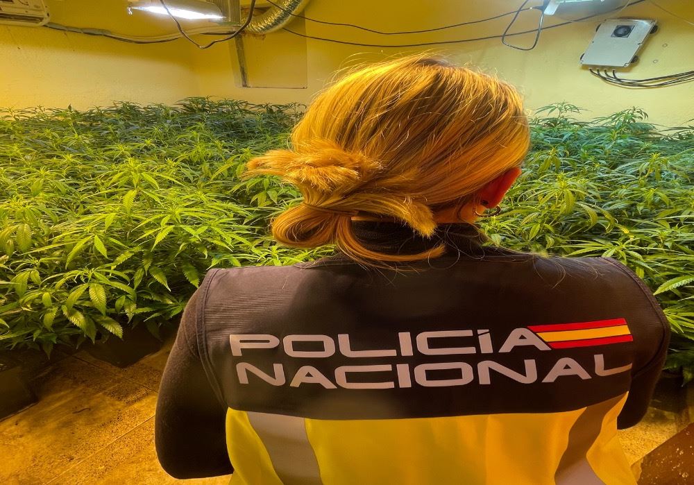La Policía Nacional desarticula en Almería una organización que usaba viviendas públicas para el cultivo intensivo de marihuana indoor y demuele seis infraviviendas para evitar su reocupación con fines delictivos