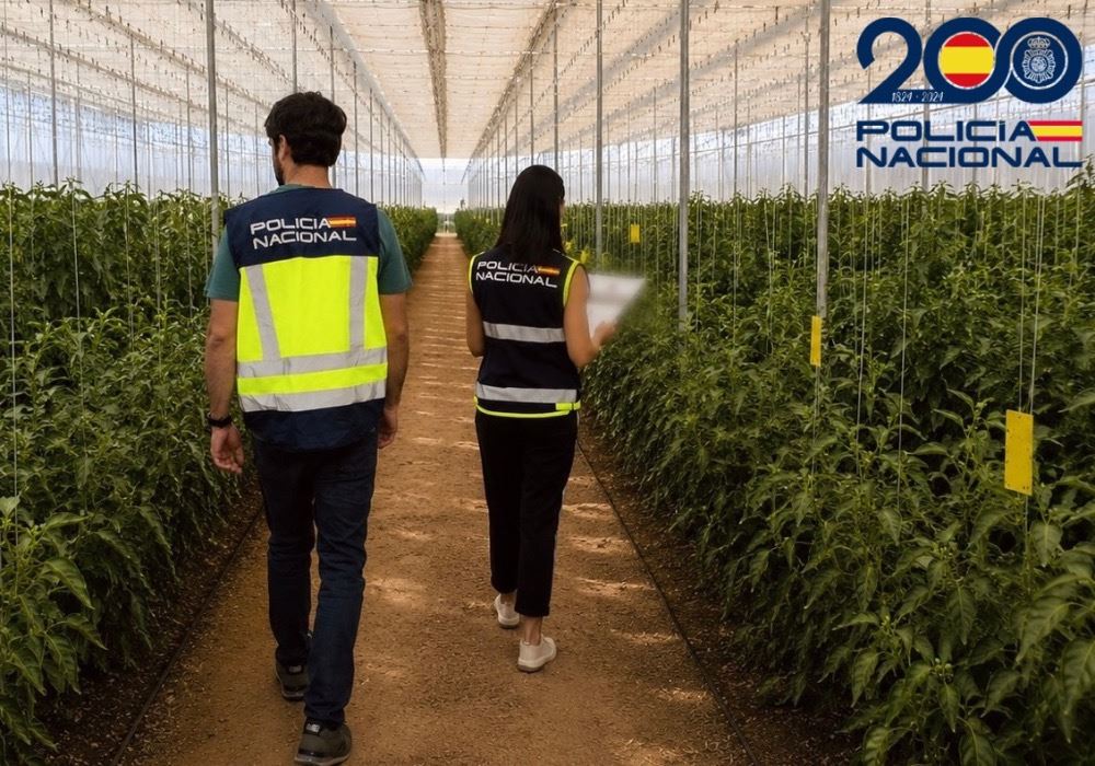 La Policía Nacional destapa un fraude de medio millón de euros a la Seguridad Social mediante una sucesión de empresas agrícolas en Almería