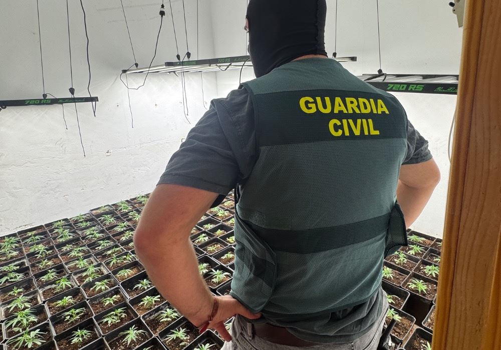 La Guardia Civil desmantela un entramado de cultivos masivos de marihuana en la provincia de Almería y detiene a cuatro personas