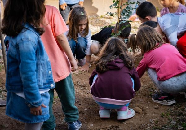 Alumnos de primaria del CEIP Torrequebrada plantan un algarrobo con motivo del Día del Árbol