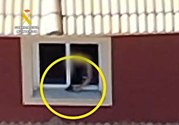 La Guardia Civil detiene en Roquetas de Mar al autor de varios disparos en una vivienda
