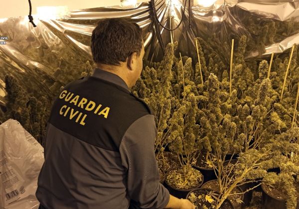 La Guardia Civil detiene en Macael a una persona como autor de los delitos de Tráfico, Cultivo o Elaboración de Drogas y Defraudación de Fluido Eléctrico