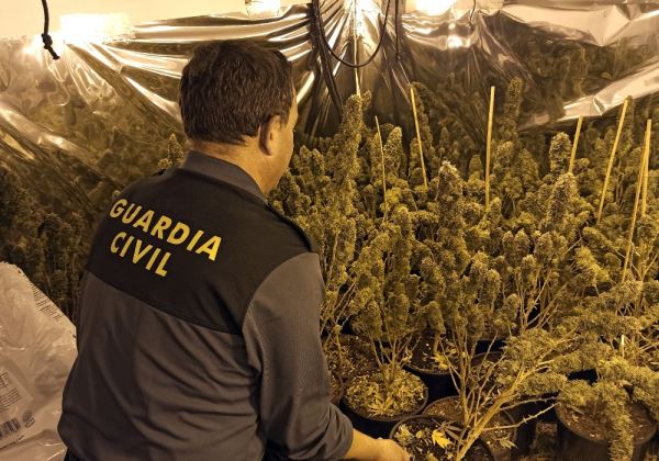 La Guardia Civil detiene a una persona autora de un delito de cultivo de drogas y defraudación de fluido eléctrico en Gádor