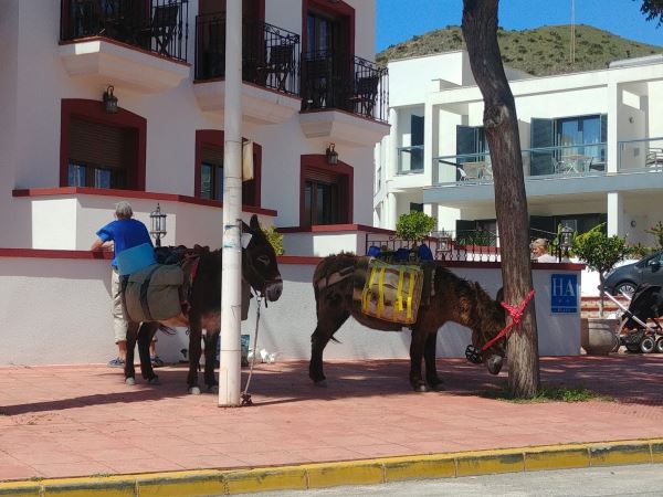 El pleno del Ayuntamiento de Níjar aprueba por unanimidad dos propuestas del área de Turismo