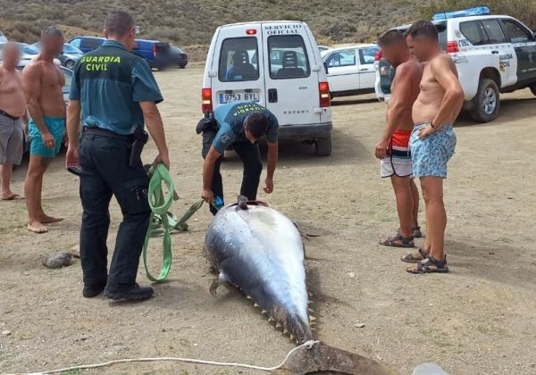 La Guardia Civil localiza un atún rojo varado en una playa de Mojacar