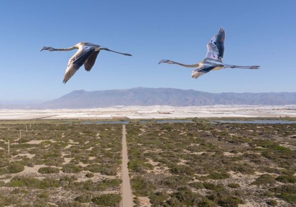 El Ejido también es naturaleza