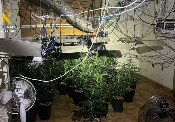 La Guardia Civil desmantela en Terque, Almería, un edificio dedicado al cultivo y tráfico de drogas y detiene a su responsable, al que, además, se le imputan otro tipo de delitos