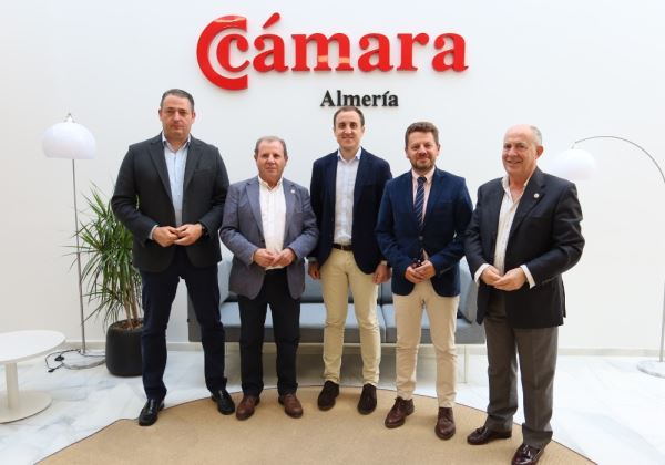 Cámara, Junta y Diputación impulsan un proyecto para posicionar Almería como “destino ideal donde vivir y teletrabajar”