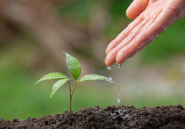 Manifiesto Apoyo a la Agricultura Española desde la Escuela Superior de Ingeniería