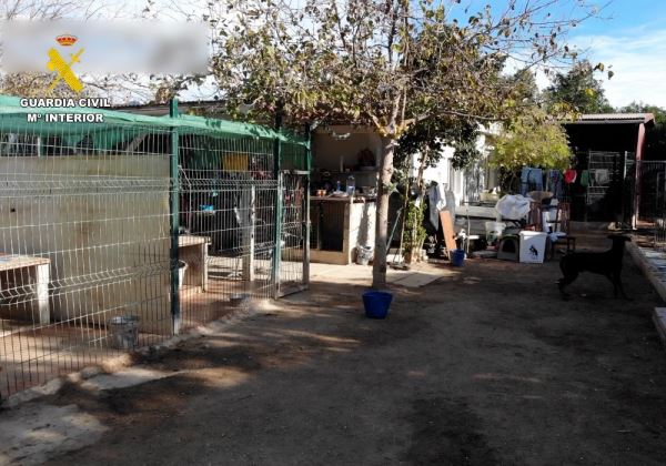La Guardia Civil investiga en Antas a la responsable de una finca por supuestos delitos de maltrato animal