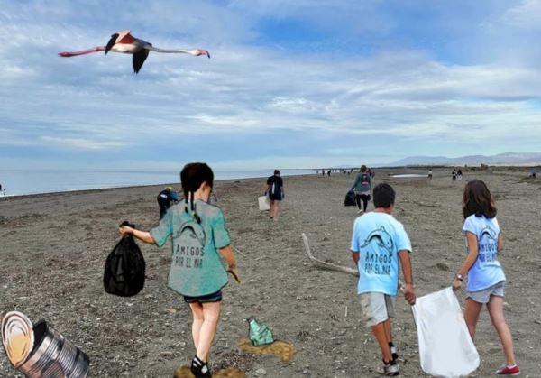 Apadrinando playas para entender el mundo