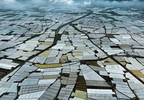 LA COORDINADORA ECOLOGISTA ALMERIENSE CONTRARIA A LA CONSTRUCCIÓN DE MÁS INVERNADEROS
