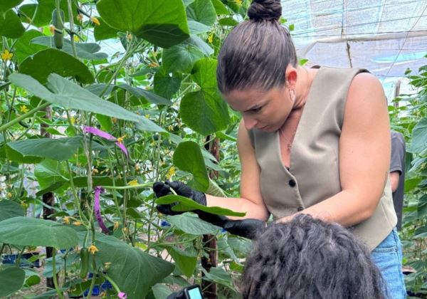 Vellsam Materias Bioactivas da el salto al biocontrol con el lanzamiento de su nueva línea Xtrem