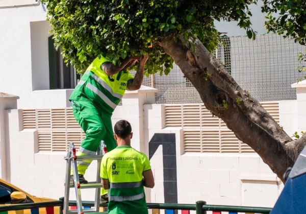 El Ayuntamiento de Roquetas de Mar impulsa el control biológico de plagas en el arbolado urbano