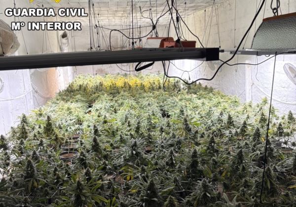 La Guardia Civil ejecuta un plan de intensificación de lucha contra el cultivo indoor de cannabis en Almería, neutralizando un centenar de enganches ilegales, 30 detenidos y la incautación de 9000 plantas de marihuana