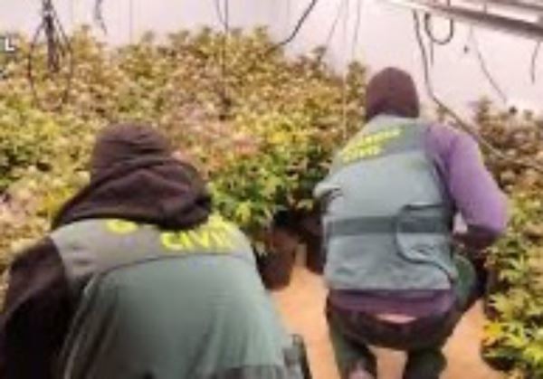 La Guardia Civil detiene a 26 personas por delitos de cultivo y elaboración de drogas y de defraudación de fluido eléctrico en Matagorda