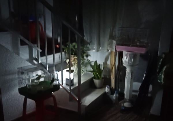 Adelante Andalucía exige soluciones inmediatas ante los continuos y prolongados cortes de luz durante la ola de calor en el barrio de La Chanca