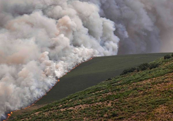 Infoca da por «estabilizado» el incendio de Los Gallardos unos mil  desalojados regresan a sus casas