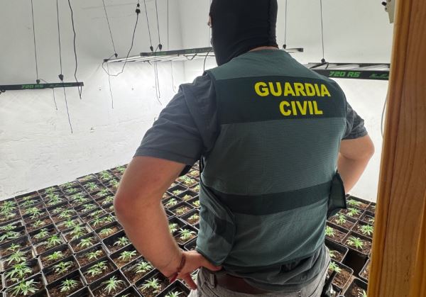 La Guardia Civil desmantela un entramado de cultivos masivos de marihuana en la provincia de Almería y detiene a cuatro personas