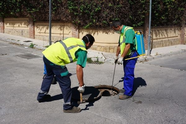 Intensificados los trabajos de la segunda fase de la campaña de desinsectación en los núcleos de población de Vícar