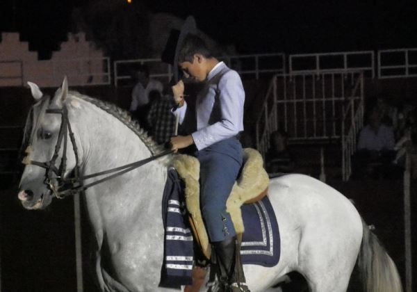 Arte y pasión a caballo con 'Andalucía sueña'