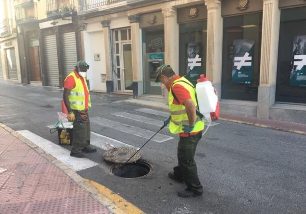 El Ayuntamiento de Berja culmina el plan de desinsectación y desratización del municipio