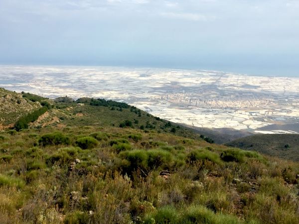 El Acuífero del Poniente podría recuperarse en diez años