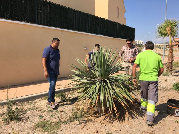 El Ayuntamiento de Zurgena apuesta por la creación de zonas verdes
