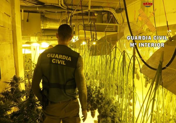 La Guardia Civil desmantela una sofisticada plantación 'indoor' en tres dúplex de Vícar y detiene a cuatro personas