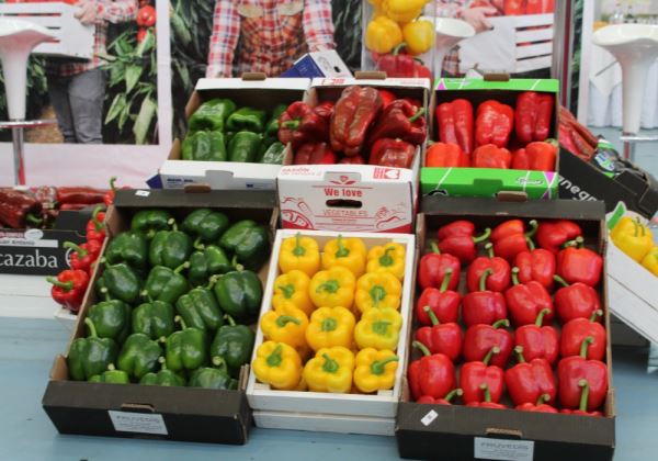La importación de frutas y hortalizas crece un 7% superando los 2.028 millones de euros en los nueve primeros meses del año