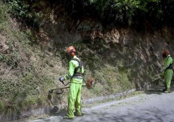 Abla prohíbe el uso de herbicidas no agrarios en su término municipal