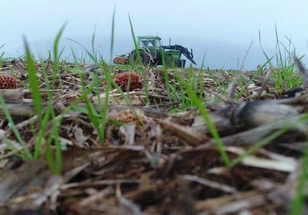 La agricultura de conservación es la técnica agrícola más efectiva contra la perdida de suelo fértil, un recurso vital y no renovable