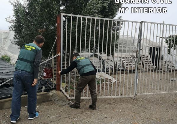 El propietario de un invernadero en Vícar sorprende en el interior del mismo a dos personas que buscaban robarle