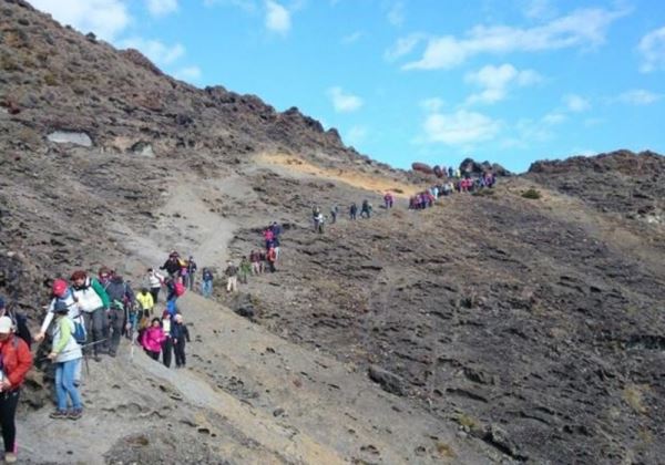 Nueva ruta senderista del Ayuntamiento de El Ejido