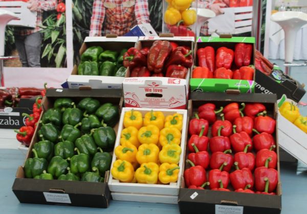 El consumo de hortalizas en los hogares españoles se recupera