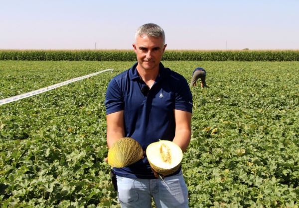 Agricultura analiza el transporte marítimo para acceder a nuevos mercados de exportación de frutas