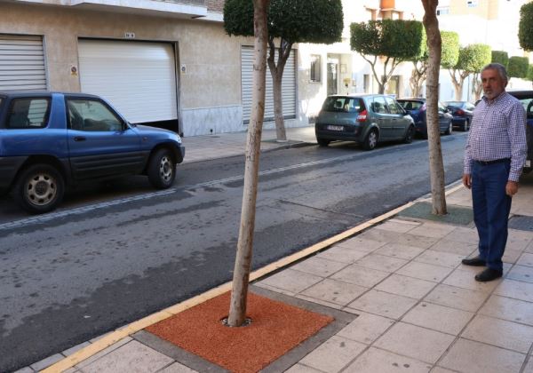 El Ejido prueba un nuevo sistema de relleno de alcorques para los árboles