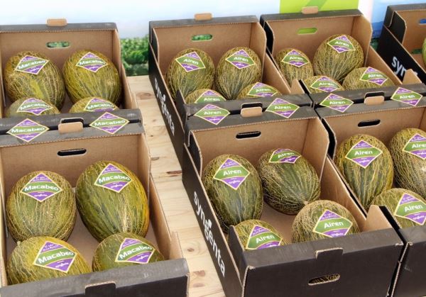 La exportación de frutas y hortalizas desciende un 2% en volumen y sube un 1% en valor