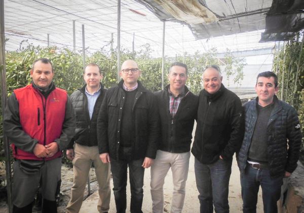 La plantación de 'setos verdes' en los invernaderos provocan una mejora agronómica en los cultivos y un entorno más limpio