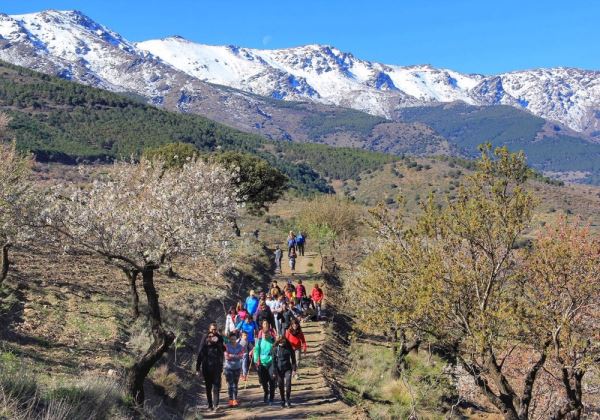 Abla se reencuentra con su flor del almendro el próximo 3 de marzo