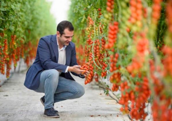 Almería 2019, Capital Española de la Gastronomía, arropa desde hoy a las frutas y hortalizas almerienses en Fruit Logística