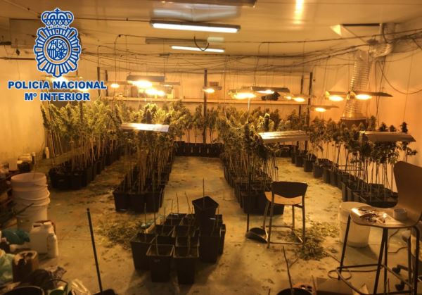 Desmantelada una plantación indoor de marihuana en una nave en Huércal de Almería