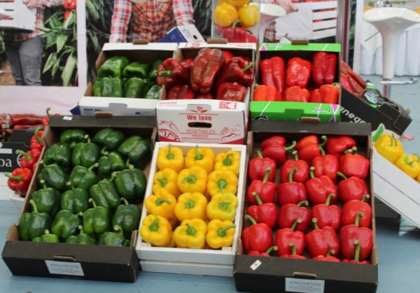 El 68% de las frutas y hortalizas que importa España proceden de países terceros y crecen un 19%