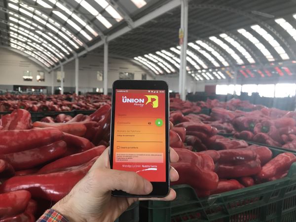 Agricultores de La Unión conocerán en tiempo real su rentabilidad y ventas