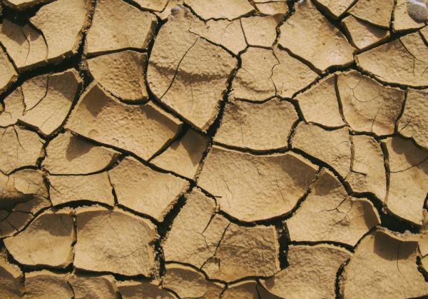 El agua como un recurso escaso abrirá el debate en Infoagro Exhibition