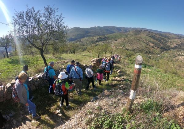 La XIII Olimpiada de Mayores de Vícar retoma sus actividades con un recorrido senderista por Macenas