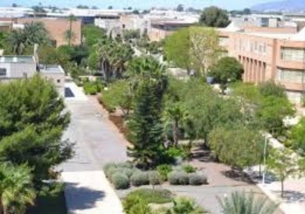 La Universidad de Almería ejecuta 11 proyectos colaborativos Universidad-Empresa