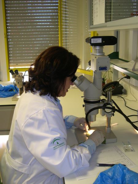 El Laboratorio de Producción y Sanidad Vegetal recibe en año y medio más de 18.500 muestras
