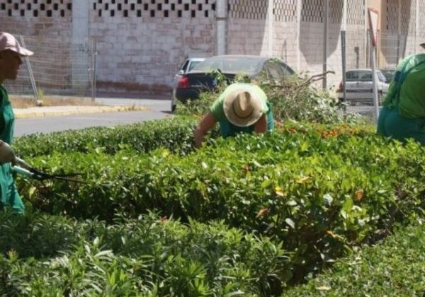 Se intensifica el acondicionamiento de plazas y parques en Vícar para su uso este verano